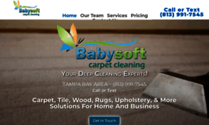 Babysoftcarpetcleaning.com thumbnail