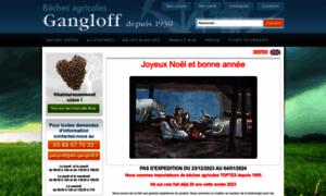 Baches-gangloff.fr thumbnail