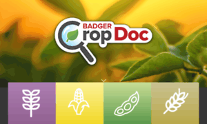 Badgercropdoc.com thumbnail