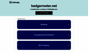 Badgermeter.net thumbnail