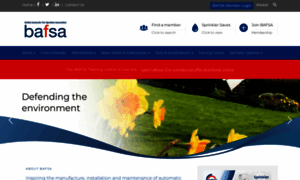 Bafsa.org.uk thumbnail