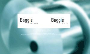 Baggie.cl thumbnail
