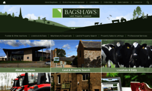 Bagshaws.com thumbnail
