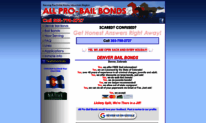 Bailbonds-denver.com thumbnail