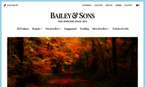 Baileyandsons.co.uk thumbnail