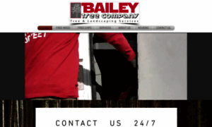 Baileytreeco.com thumbnail