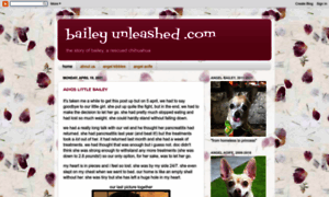 Baileyunleashed.com thumbnail