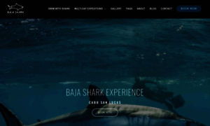 Bajasharkexperience.com thumbnail