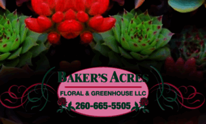 Bakersacresfloralgreenhouse.com thumbnail