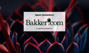 Bakker-it.com thumbnail