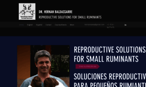 Baldassarre-rssr.com thumbnail