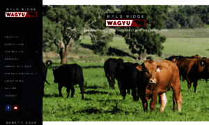 Baldridgecattle.com.au thumbnail