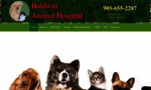 Baldwinanimalhospital.ca thumbnail