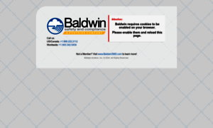 Baldwinsafety.com thumbnail