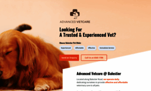 Balestier.advancedvetcare.sg thumbnail