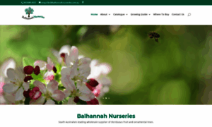 Balhannahnurseries.com.au thumbnail