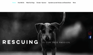 Balidogassociation.com thumbnail