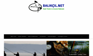 Balikcil.net thumbnail
