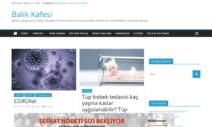 Balikkafesi.com thumbnail