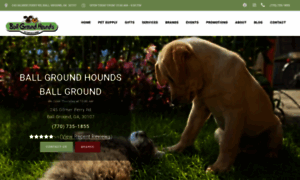 Ballgroundhounds.com thumbnail