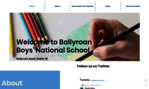 Ballyroanboysschool.ie thumbnail