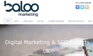 Baloomarketing.co.uk thumbnail