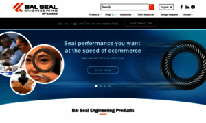 Balseal.com thumbnail