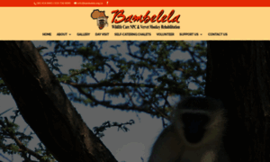 Bambelela.org.za thumbnail