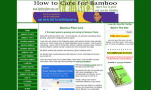 Bamboo-plant-care.com thumbnail