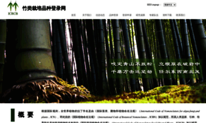 Bamboo2013.org thumbnail