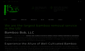 Bamboobob.com thumbnail