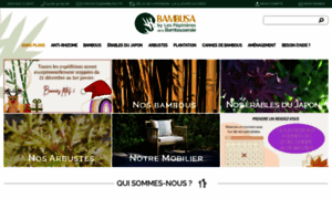 Bambusa.fr thumbnail