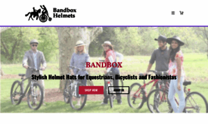 Bandboxllc.com thumbnail