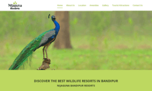 Bandipurnijagunaresorts.com thumbnail