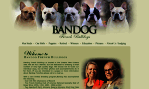 Bandogfrenchies.com thumbnail