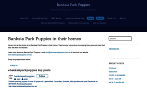 Banksiaparkpuppies.net thumbnail