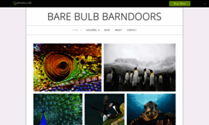 Barebulbbarndoors.photocrati.com thumbnail