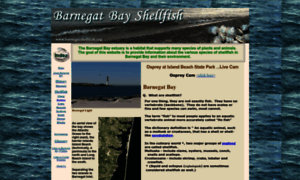 Barnegatshellfish.org thumbnail