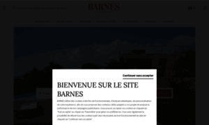 Barnes-yachts.com thumbnail