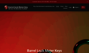 Barrellockelectricalmeterkey.com thumbnail