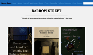 Barrowstreet.org thumbnail