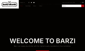 Barzibrand.com thumbnail