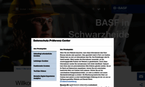 Basf-schwarzheide.de thumbnail