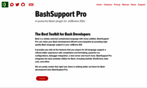 Bashsupport.com thumbnail