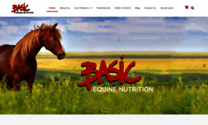 Basicequinenutrition.ca thumbnail