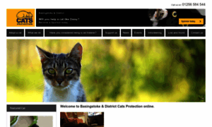 Basingstoke.cats.org.uk thumbnail
