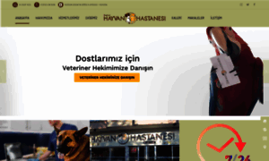 Baskenthayvanhastanesi.com thumbnail