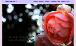 Baskingridgeflorist.com thumbnail