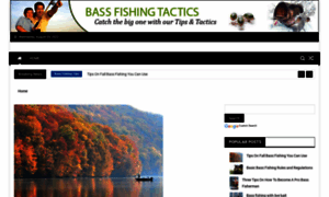 Bassfishingtactics.net thumbnail