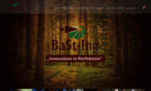 Bast-ing.de thumbnail